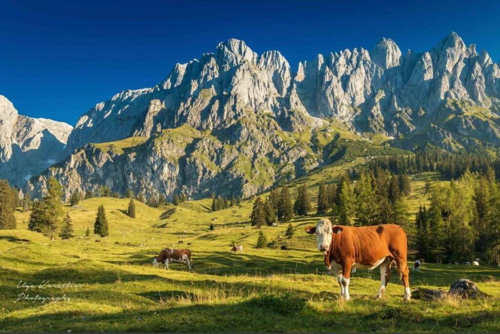 Hochkoenig Ferien Apartamento Mühlbach am Hochkönig Exterior foto